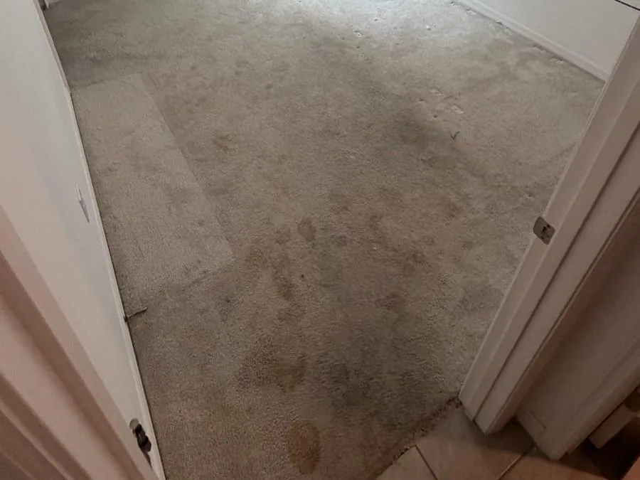 Bedroom floor, before